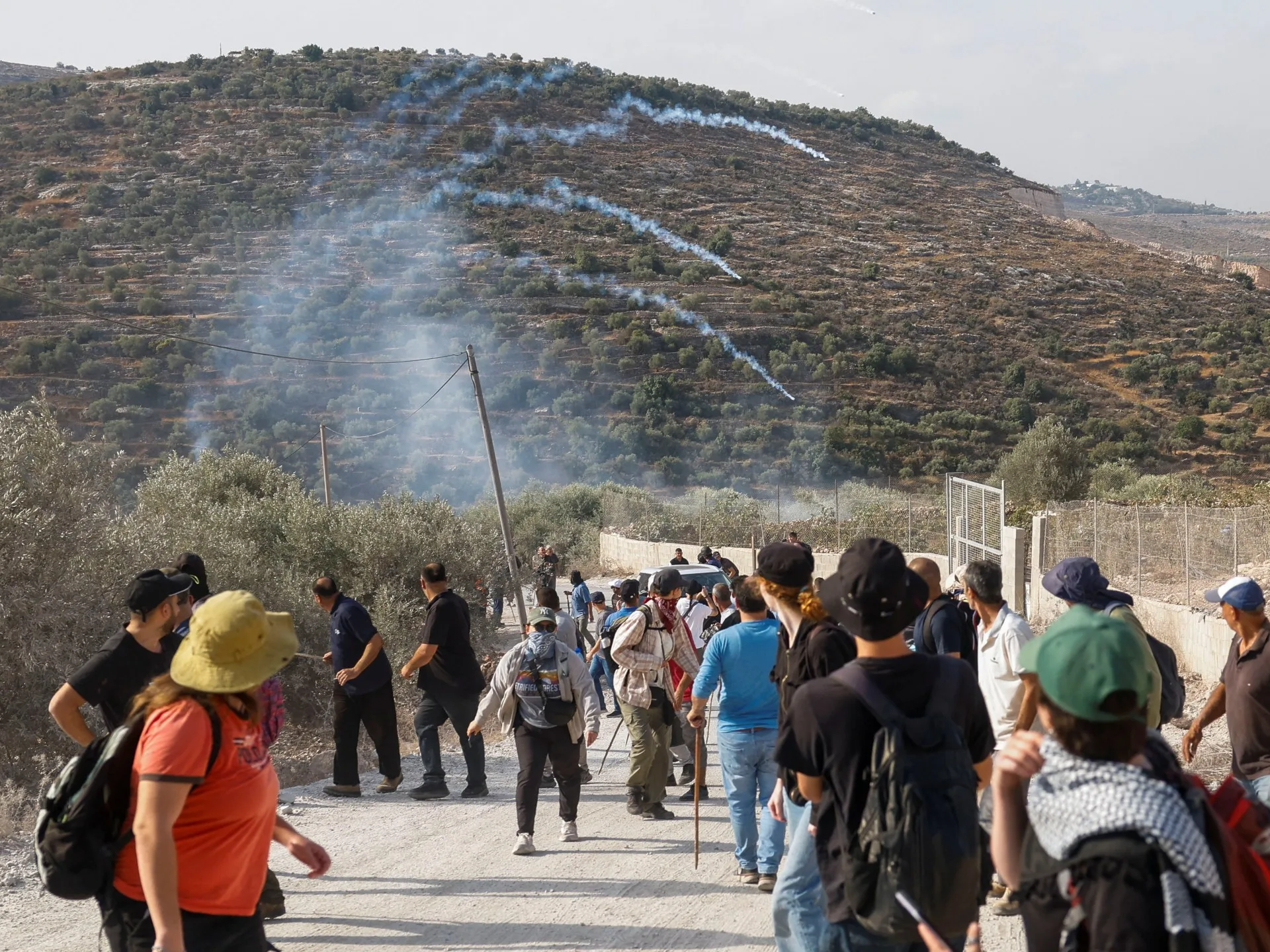 Israeli forces arrest 17 Palestinians as attacks target olive harvest