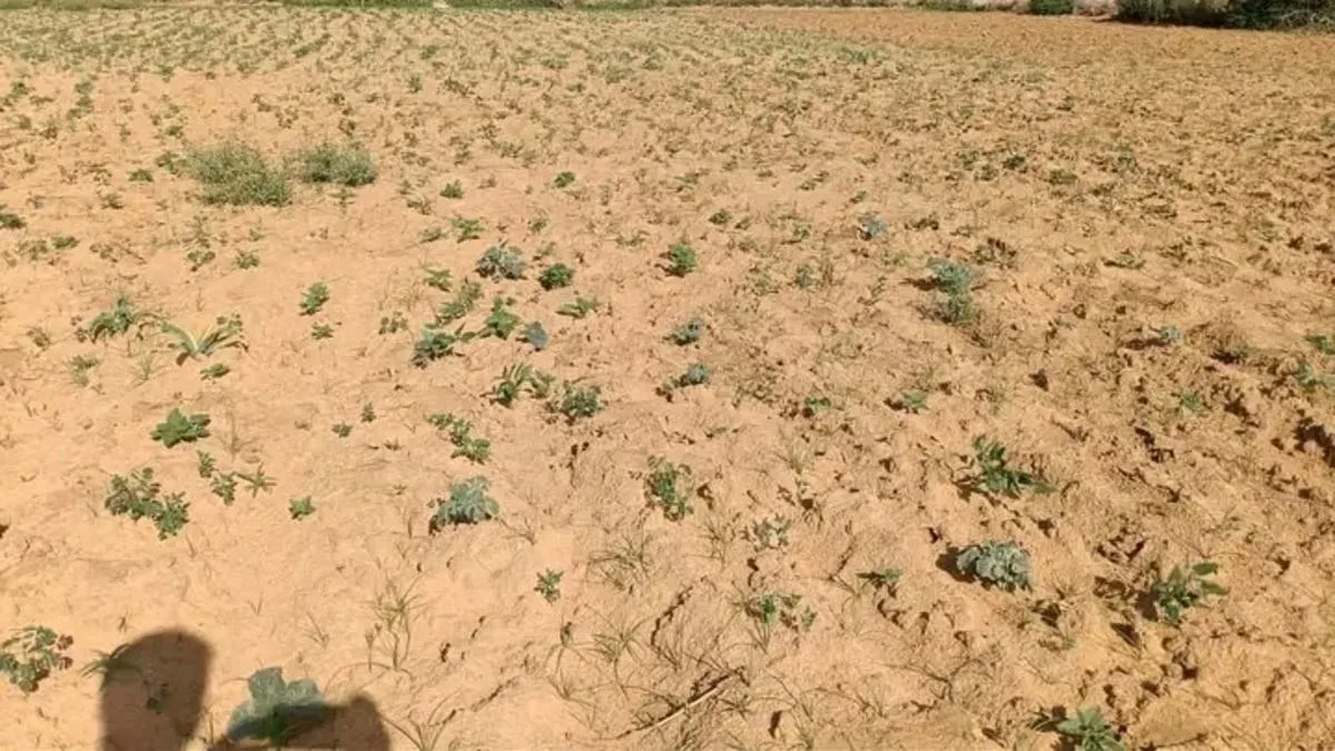 UN warns of rising famine risk in Sudan