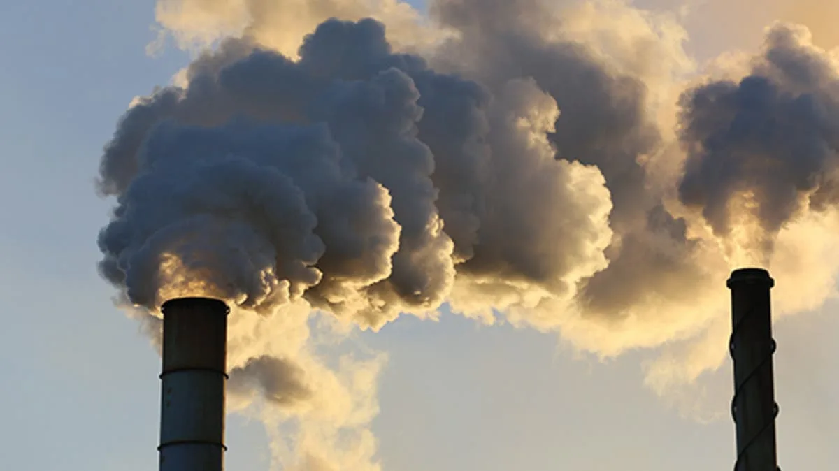 WHO calls for international action to reduce lead poisoning